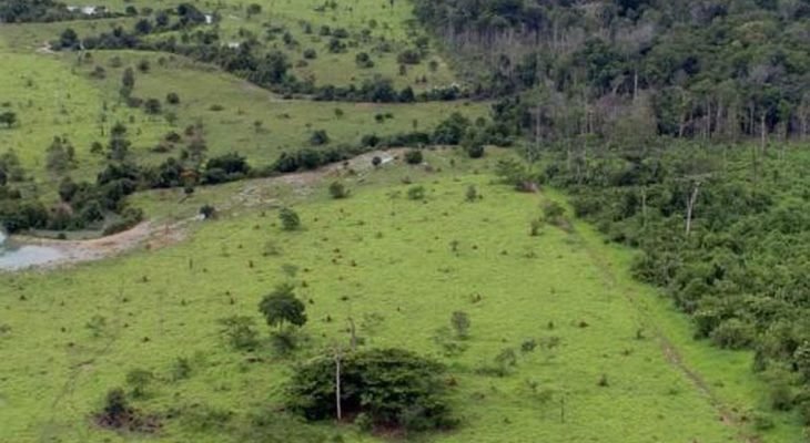 Menos de 1% das propriedades agrícolas detém quase metade da área rural no país