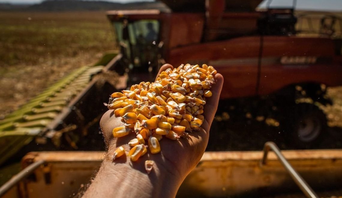 312,5 milhões de toneladas a produção de grãos no Brasil