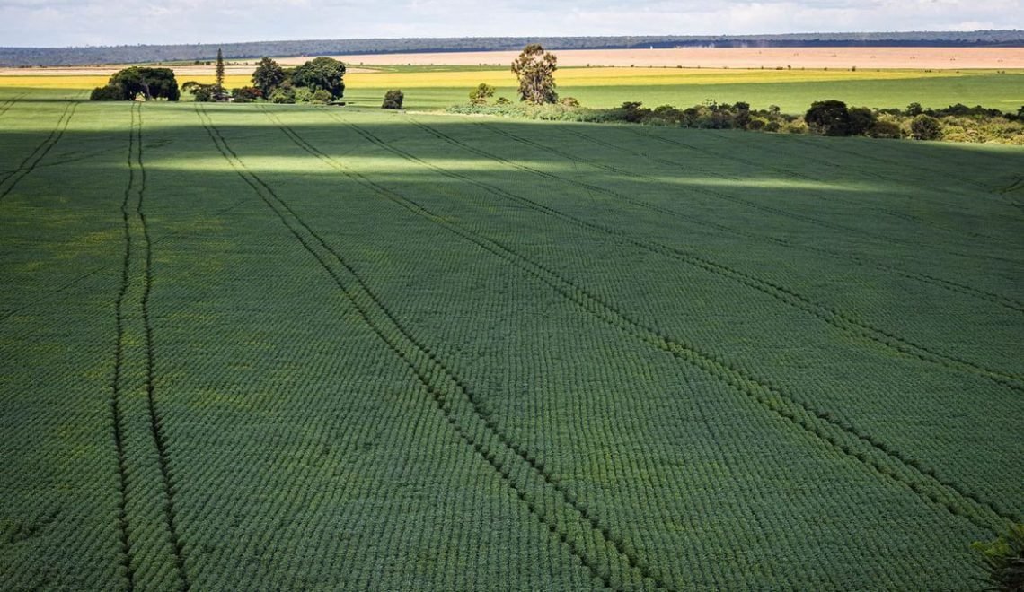 Analistas indicam crescimento do agro impulsionado pelo Plano safra (Foto: Wenderson Araújo/Agência Brasil)