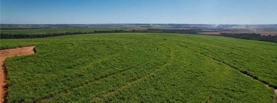 Minas segue protagonista no agro brasileiro (Foto: Gil Leonardi/Imprensa MG)