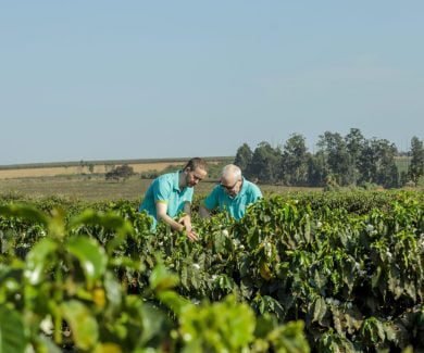 Pioneiro em Denominação de Origem, café da RCM amplia internacionalização (Foto: RCM)