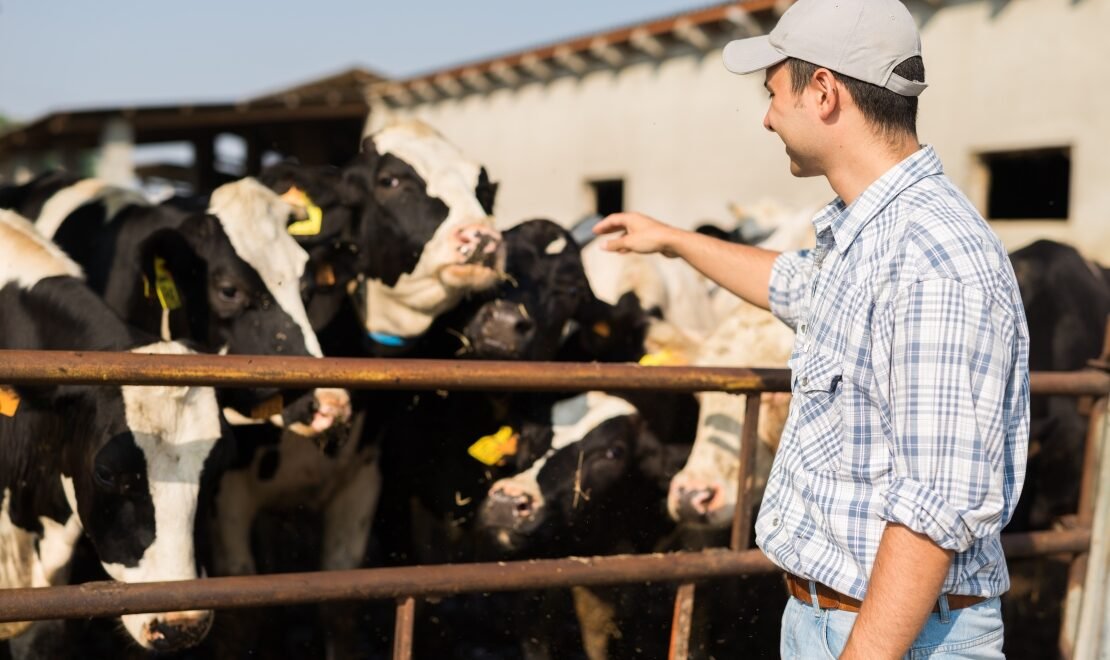 Conquista é resultado de esforço conjunto do governo estadual com produtores e órgãos de defesa animal (Foto: SEAPA/MG - Emater MG)