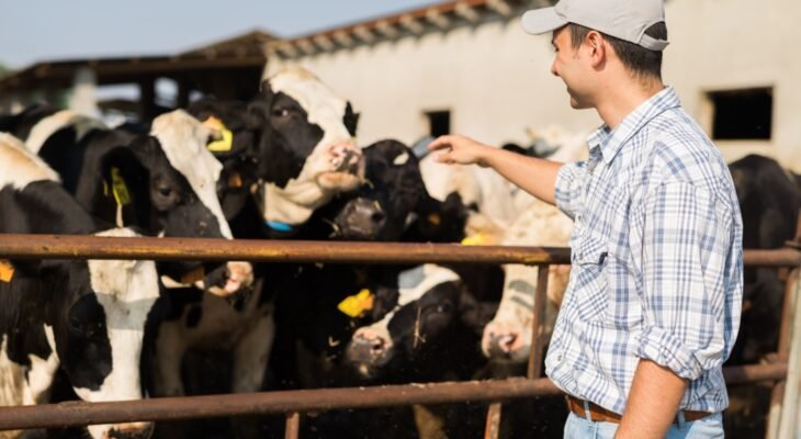 Conquista é resultado de esforço conjunto do governo estadual com produtores e órgãos de defesa animal (Foto: SEAPA/MG - Emater MG)