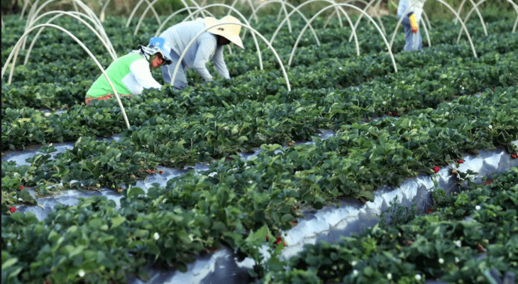 Quanto mais pessoas você ajuda, e quanto mais efetivamente você as ajuda, maior será sua compensação (Crédito: Fernando Campanato/Agência Brasil)