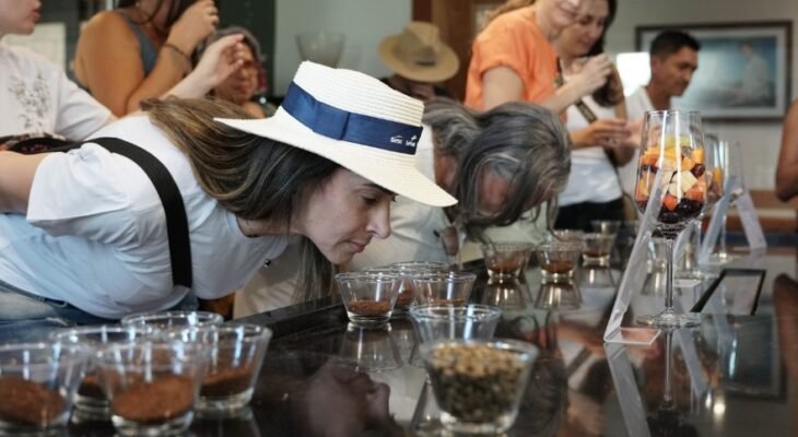 Rota do Café une economia, história, cultura e sustentabilidade (Foto: Divulgação/Agência Sebrae de Noticias)