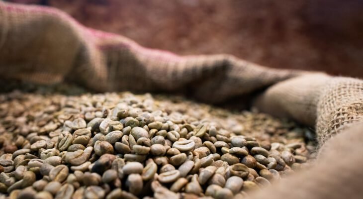 Brasil é o maior produtor mundial de café (Foto: CNA)