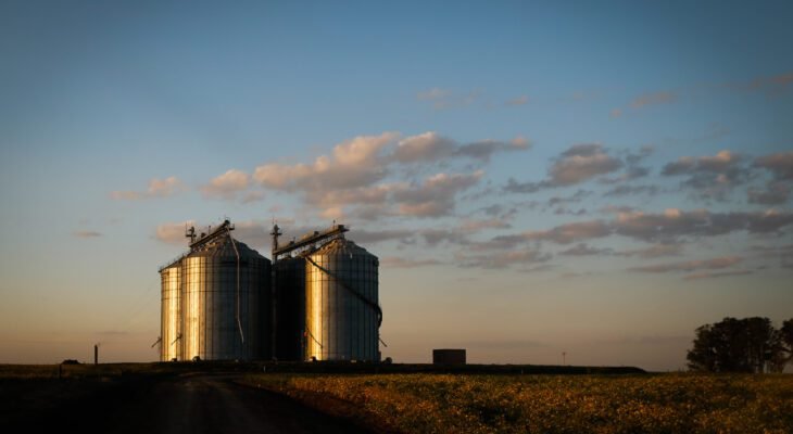 Armazenar parte da colheita do dia anterior para ter um “pulmão” (Silo/Crédito: CNA)