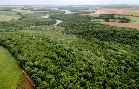 Corredor Ecológico Santa Maria é modelo (Crédito: Itaipu Binacional)