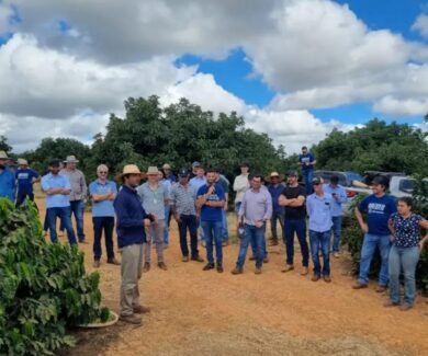 Dias de campo da Epamig e Embrapa Café promoveram troca de conhecimento (Crédito: Epamig/Embrapa Café)