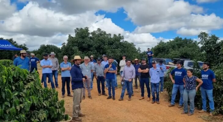 Dias de campo da Epamig e Embrapa Café promoveram troca de conhecimento (Crédito: Epamig/Embrapa Café)