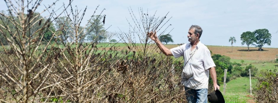 Lei que facilita recursos para recuperação de produtores rurais afetados por intempéries (Credito: Cristiano Machado/Imprensa MG)