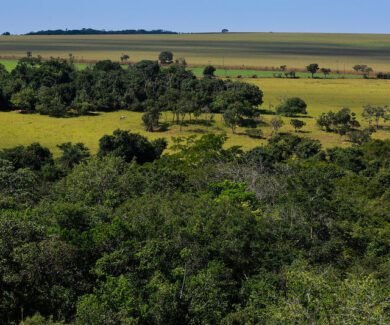 Dados das propriedades rurais devem estar sempre atualizados (Foto: CNA)