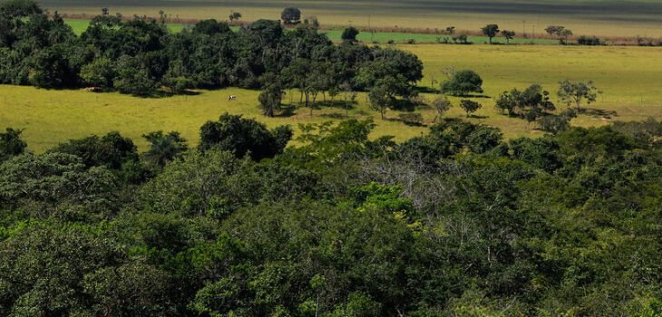 Dados das propriedades rurais devem estar sempre atualizados (Foto: CNA)