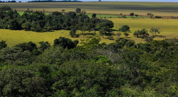 Dados das propriedades rurais devem estar sempre atualizados (Foto: CNA)