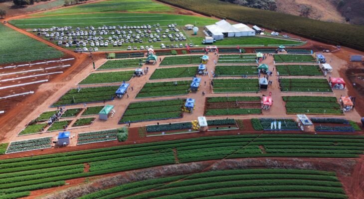 Vista aérea do local onde ocorrerá a INOVATECH 2024 (Crédito: Ipacer)