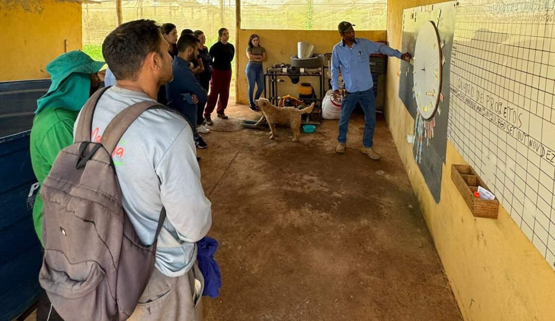 Atividade de desenvolvimento de líderes (Crédito: Escola Cooperativa Terra Ideal)