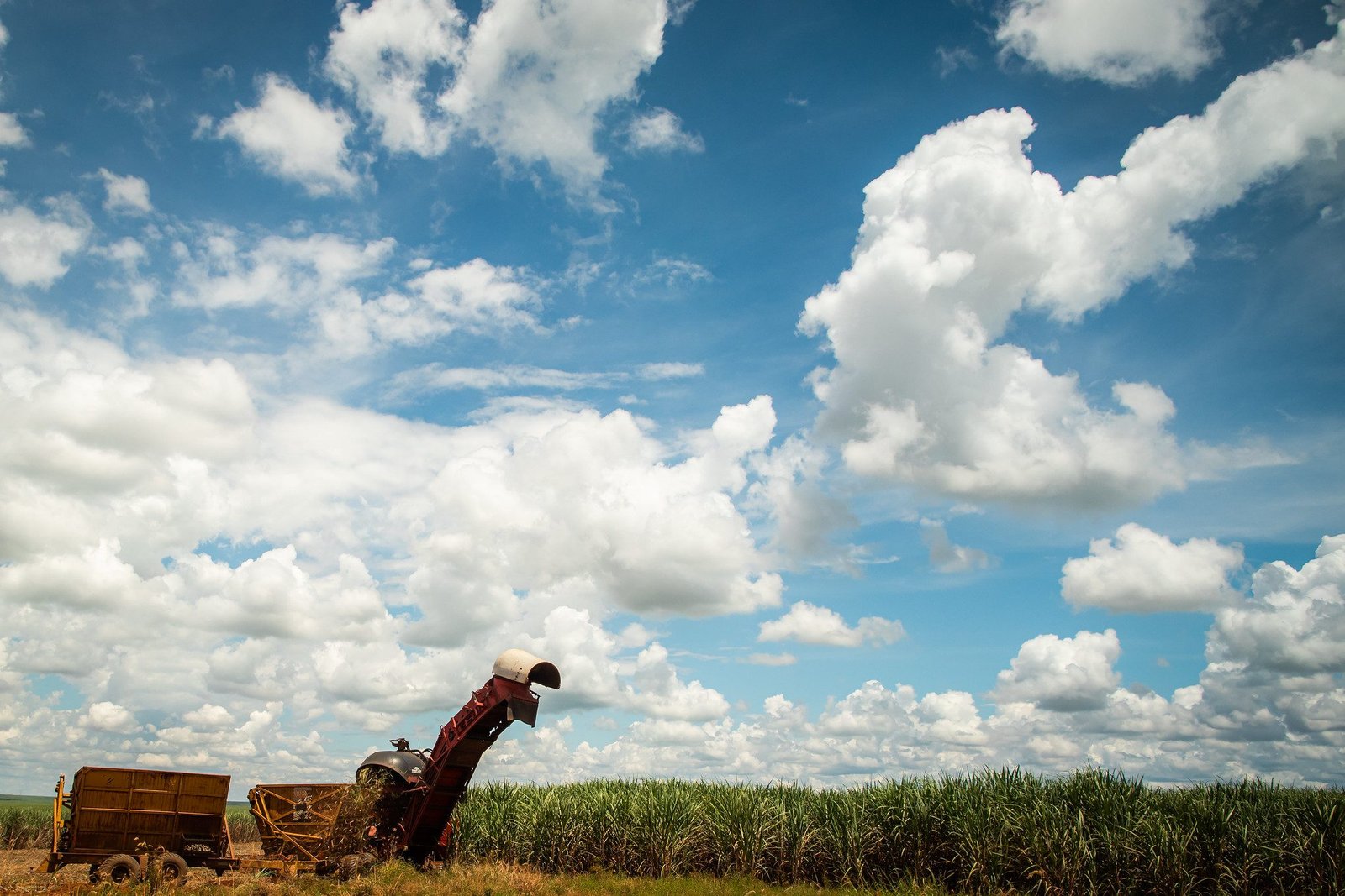 Áreas agrícolas têm ganhos potencializados com cooperativas de crédito (Foto: Wenderson Araujo/Trilux / CNA