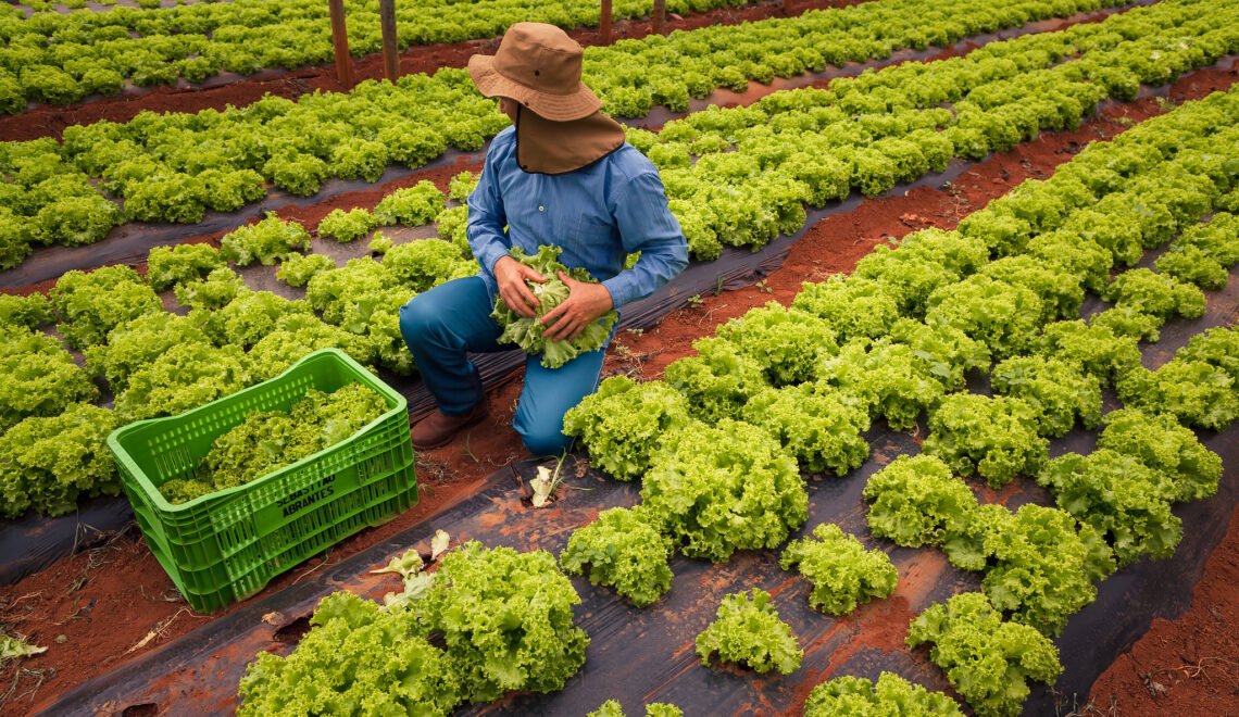 Do Rural à Mesa, 2019 (Crédito Wenderson Araujo/Trilux/CNA)