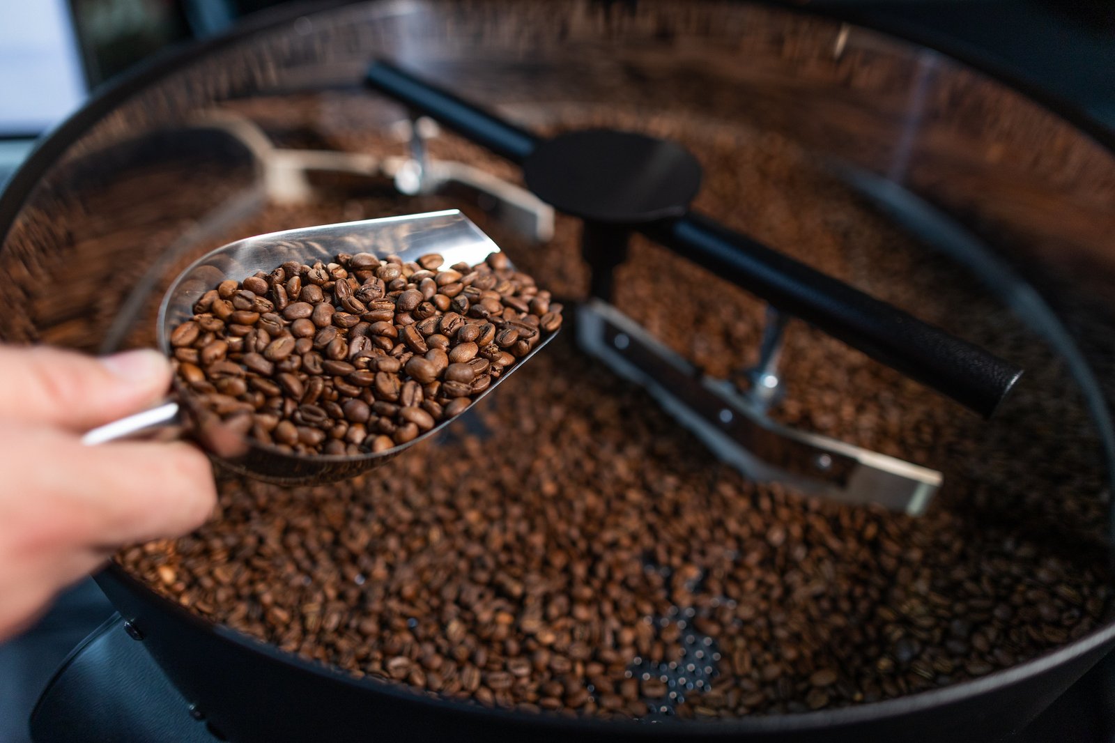 Registro da Semana Internacional do Café 2024, durante o Cupping e Negócios de Cafés Diferenciados (Foto: Wenderson Araujo/Trilux/CNA)