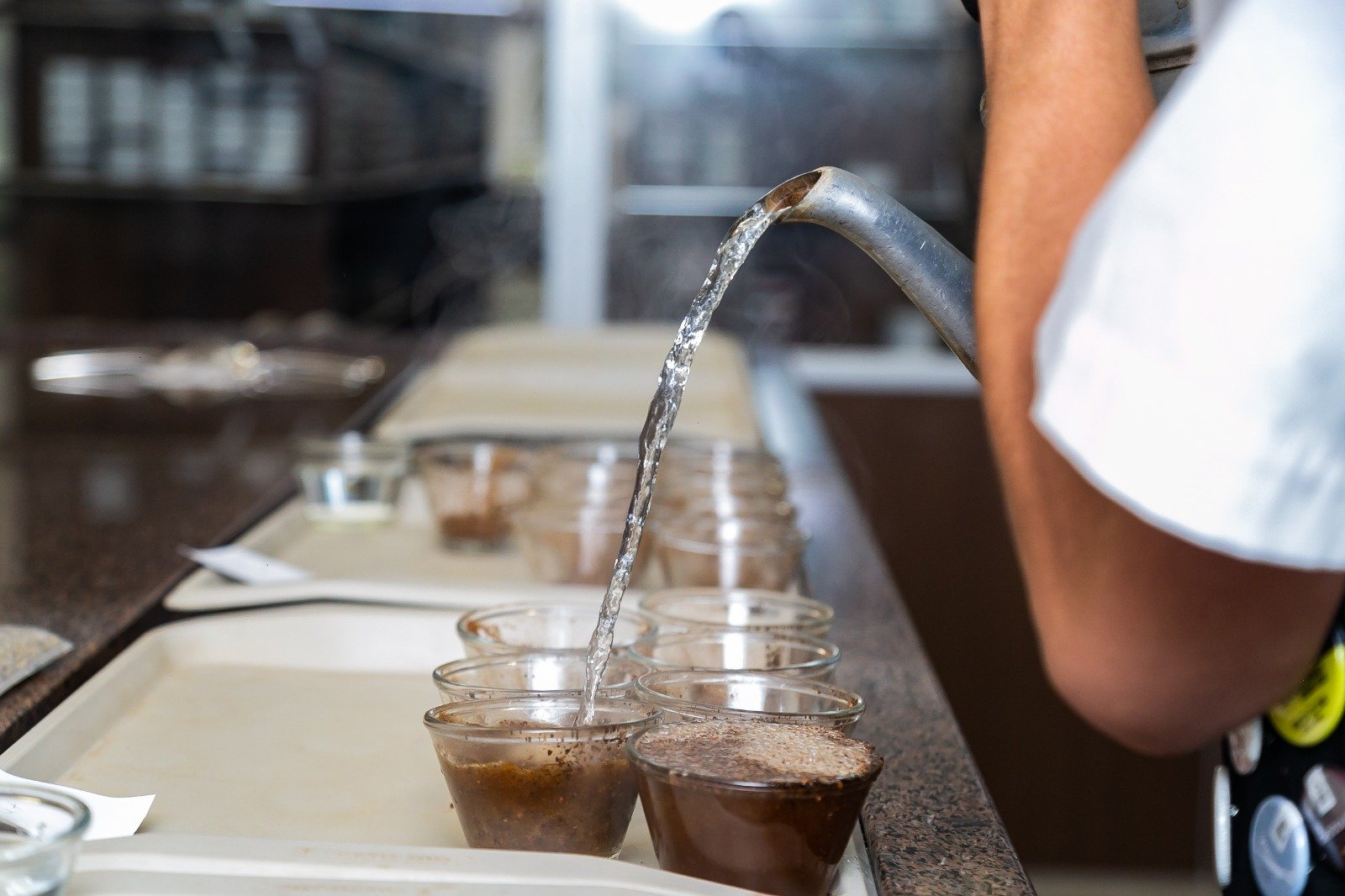 Expocacer lança mapeamento de cafés especiais no Cerrado Mineiro com devolutiva técnica ao produtor (Crédito: Comunicação Expocacer)