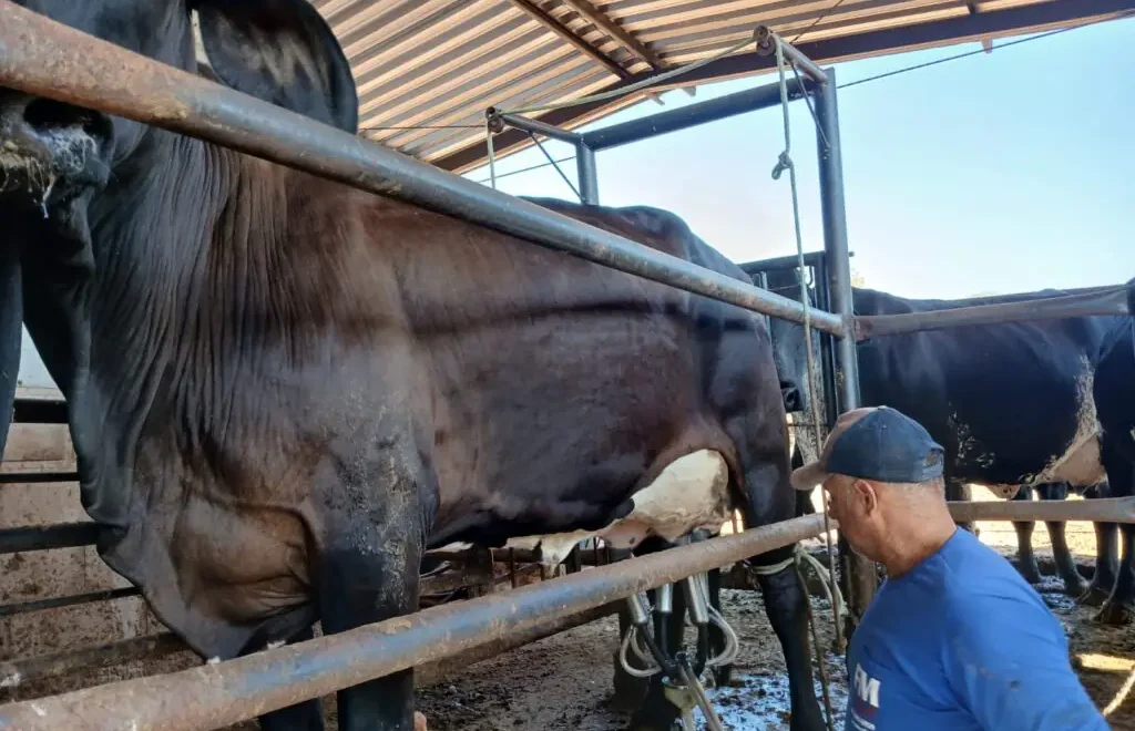 Produtor Divaldo Fernandes, proprietário da Fazenda Dourados (Foto de acervo pessoal)