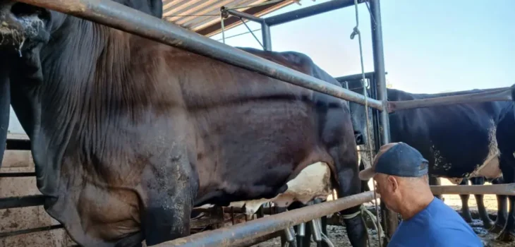 Produtor Divaldo Fernandes, proprietário da Fazenda Dourados (Foto de acervo pessoal)
