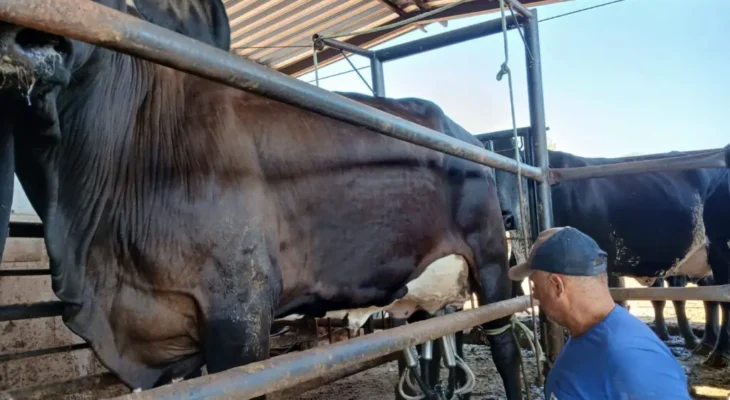 Produtor Divaldo Fernandes, proprietário da Fazenda Dourados (Foto de acervo pessoal)