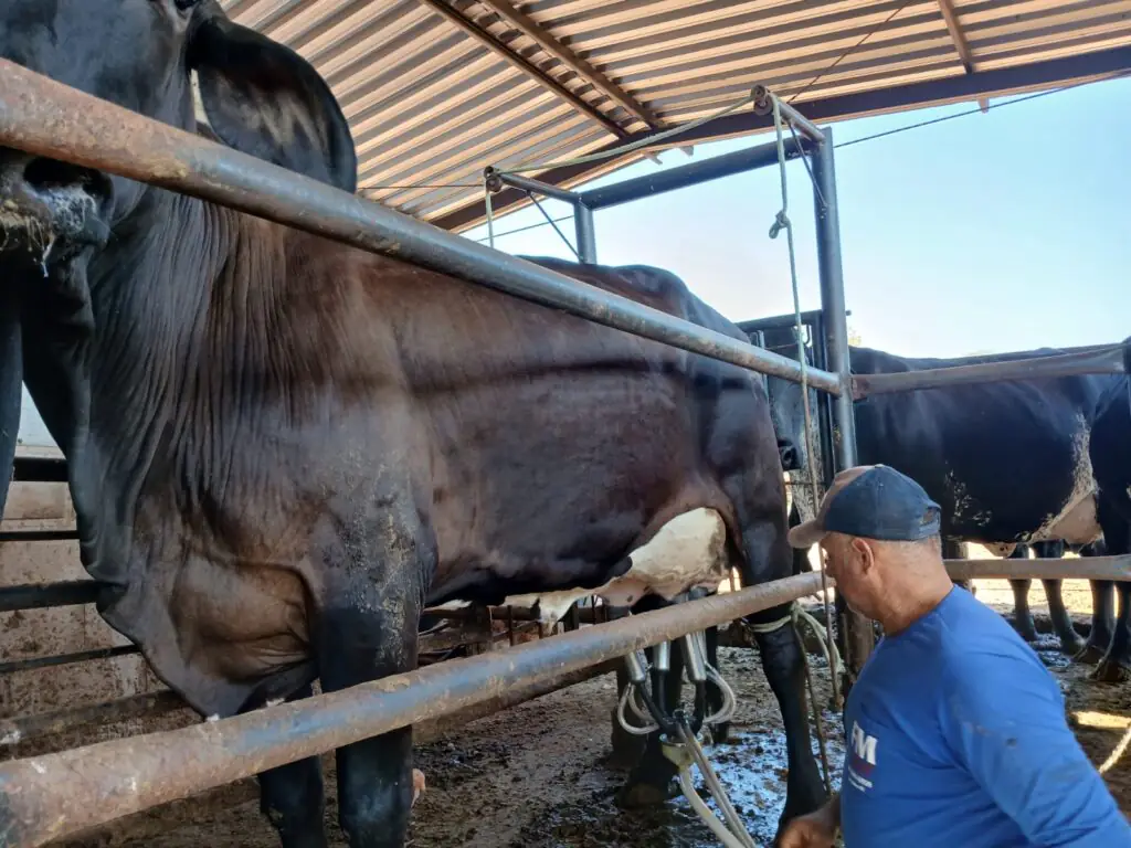 Produtor Divaldo Fernandes, proprietário da Fazenda Dourados (Foto de acervo pessoal)
