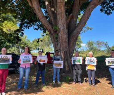 Mulheres do Cerrado fortalecem protagonismo na cafeicultura regenerativa em Patos de Minas (Foto: CCA)
