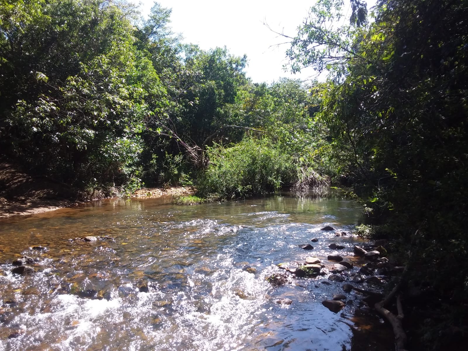 CCA leva à COP30 ações estruturantes do Cerrado Mineiro para regeneração e segurança hídrica (Crédito: CCA)