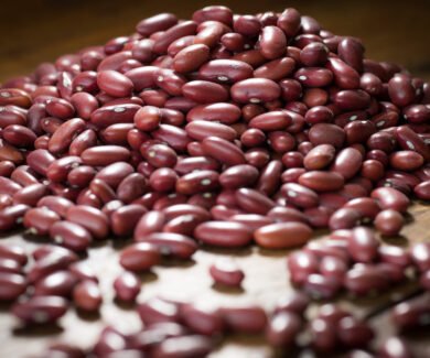 Foto: Divulgação FAEMG