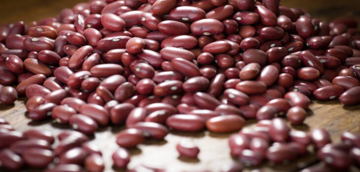 Foto: Divulgação FAEMG