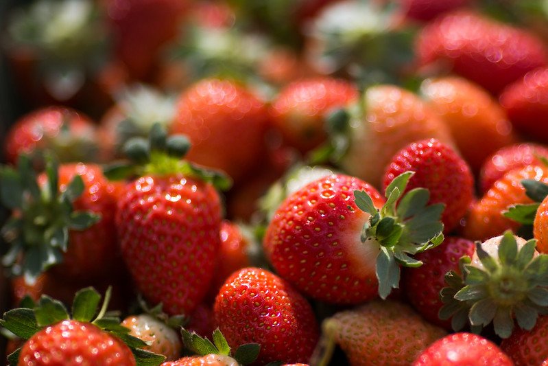 Brazlândia - DF. Morango. Fotos: Wenderson Araujo/CNA