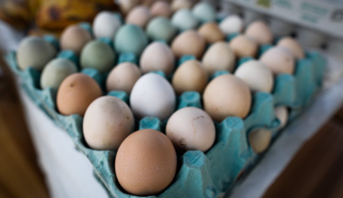 Imagem: Divulgação Sistema Faemg-Senar