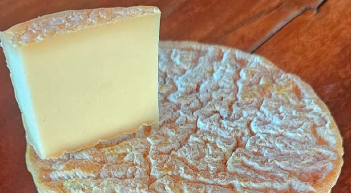 O produtor Alexandre Honorato, da Fazenda Só-Nata em Araxá, celebra a conquista da medalha Super Ouro com o Queijo Minerim, produto de casca florida com 60 dias de maturação. | Foto: Arquivo pessoal / Alexandre Honorato