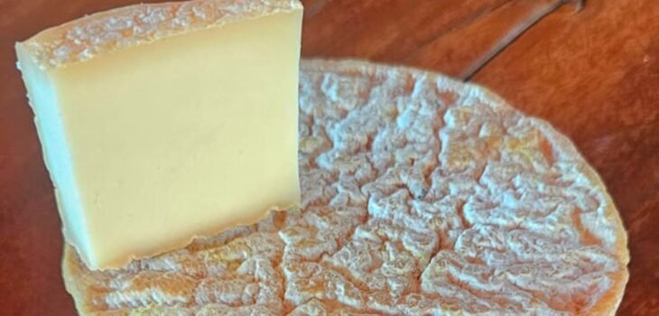 O produtor Alexandre Honorato, da Fazenda Só-Nata em Araxá, celebra a conquista da medalha Super Ouro com o Queijo Minerim, produto de casca florida com 60 dias de maturação. | Foto: Arquivo pessoal / Alexandre Honorato