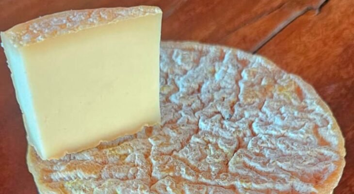 O produtor Alexandre Honorato, da Fazenda Só-Nata em Araxá, celebra a conquista da medalha Super Ouro com o Queijo Minerim, produto de casca florida com 60 dias de maturação. | Foto: Arquivo pessoal / Alexandre Honorato