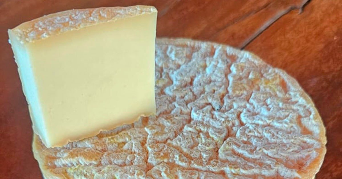 O produtor Alexandre Honorato, da Fazenda Só-Nata em Araxá, celebra a conquista da medalha Super Ouro com o Queijo Minerim, produto de casca florida com 60 dias de maturação. | Foto: Arquivo pessoal / Alexandre Honorato