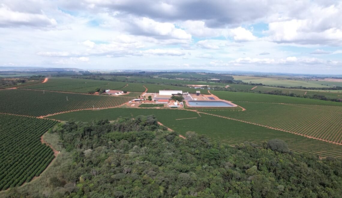 Propriedades regenerativas da Expocacer conectam produtores, certificações e mercado regulatório em um ecossistema de valor. (Foto: Divulgação/Expocacer)