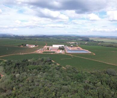 Propriedades regenerativas da Expocacer conectam produtores, certificações e mercado regulatório em um ecossistema de valor. (Foto: Divulgação/Expocacer)