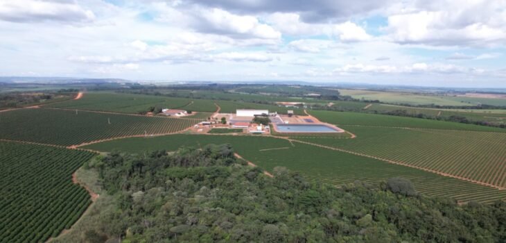 Propriedades regenerativas da Expocacer conectam produtores, certificações e mercado regulatório em um ecossistema de valor. (Foto: Divulgação/Expocacer)