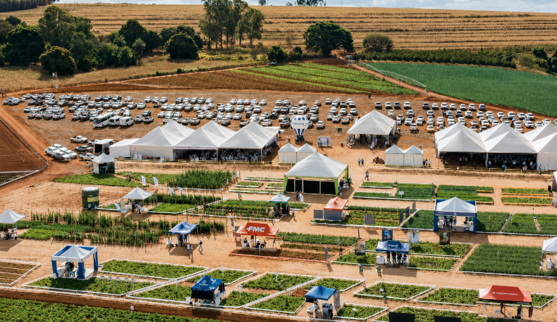 Inovatech 2026: Horticultura do Cerrado Mineiro discute futuro do setor