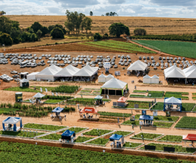 Inovatech 2026: Horticultura do Cerrado Mineiro discute futuro do setor