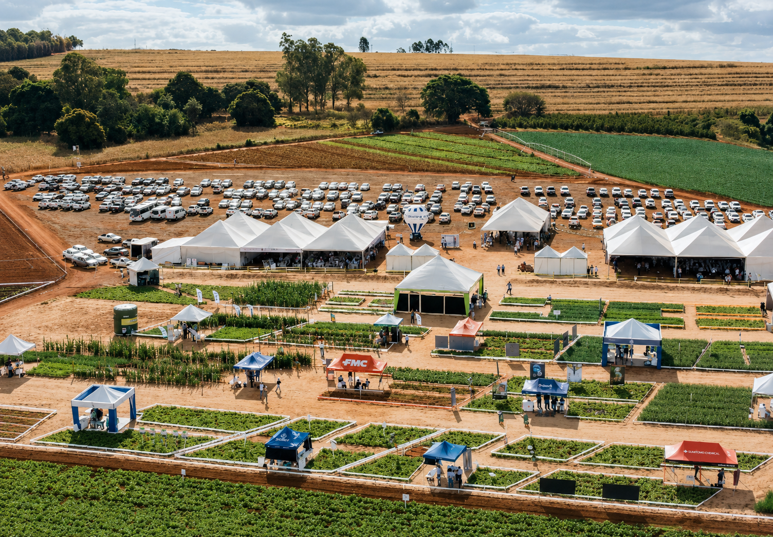 Inovatech 2026: Horticultura do Cerrado Mineiro discute futuro do setor