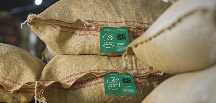 Cerrado Mineiro atinge 420 mil sacas certificadas com Denominação de Origem (Crédito: RCM)