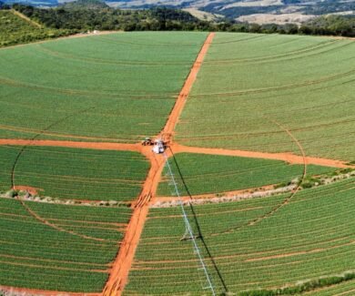 Área de plantio em São Gotardo, Minas Gerais (Crédito: Produtor Rural - Gustavo Felipe Guimarães