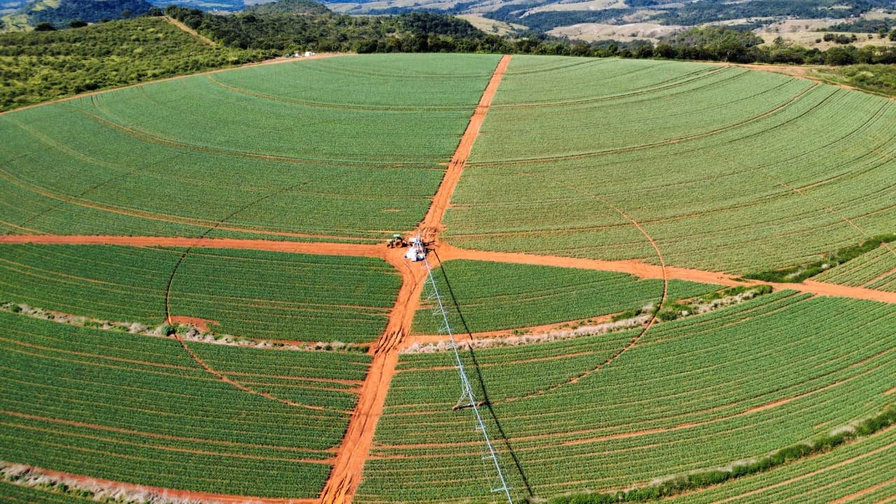 Área de plantio em São Gotardo, Minas Gerais (Crédito: Produtor Rural - Gustavo Felipe Guimarães