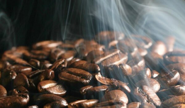 Grãos de café torrados exalam aroma durante o processo de seleção e avaliação técnica, etapa essencial na busca pela excelência sensorial na xícara (Crédito: illycaffè / Divulgação)