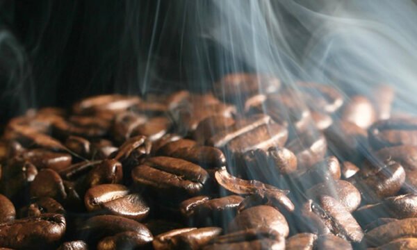Grãos de café torrados exalam aroma durante o processo de seleção e avaliação técnica, etapa essencial na busca pela excelência sensorial na xícara (Crédito: illycaffè / Divulgação)